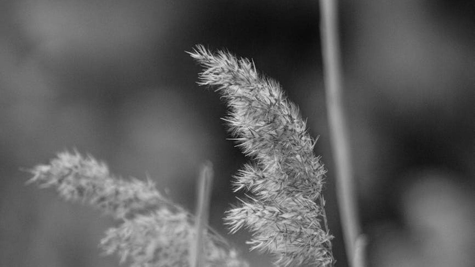 Serene and calm background texture representing harmony and focus.